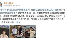 张兰被爆料欠巨额债务视频,真相与影响揭秘